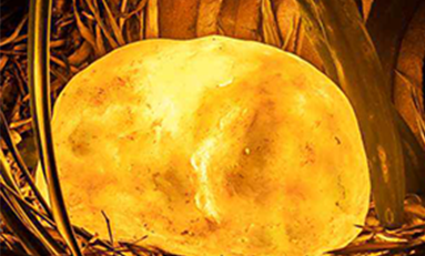 戶外裝飾燈具有裝飾和照明兩種功能