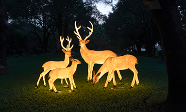 購買裝飾彩燈時需要遵循的幾個原則