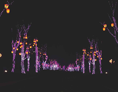 陜西漢中-孔明燈